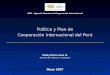 Política y Plan de Cooperación Internacional del Perú APCI - Agencia Peruana de Cooperación Internacional Mayo 2007 Roddy Rivas-Llosa M. Gerente de Políticas