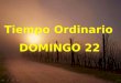 Tiempo Ordinario DOMINGO 22 Tiempo Ordinario DOMINGO 22