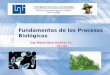 Fundamentos de los Procesos Biológicos Ing. María Elena Ramírez Ch. 1T1 IAI