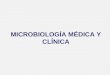 MICROBIOLOGÍA MÉDICA Y CLÍNICA. Microbiología Concepto