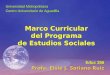 Marco Curricular del Programa de Estudios Sociales Educ 356 Profa. Elsie J. Soriano Ruiz Universidad Metropolitana Centro Universitario de Aguadilla