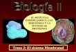 Tema 2: El sistema Membranal EL RETÍCULO ENDÓPLASMICO, LOS RIBOSOMAS Y LA SÍNTESIS DE PROTEÍNAS