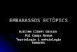 EMBARASSOS ECTÒPICS Guillem Claret Garcia Pol Camps Renom Teratologia i embriologia humanes