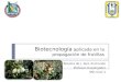 Biotecnología aplicada en la propagación de frutillas Dra Teresita de J. Ruíz Anchondo Profesor-Investigador SNI-nivel 1