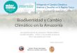 GRUPO TÉCNICO REGIONAL FRENTE AL CAMBIO CLIMÁTICO Biodiversidad y Cambio Climático en la Amazonía Las experiencias de los proyectos “Biodiversidad y Cambio