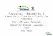 Parashat Bereshit 3 Creación – Ciencia – Tradición Rabínica Por: Eliyahu BaYonah Director Shalom Haverim Org New York