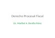 Derecho Procesal Fiscal Lic. Maribel A. Bonilla Pérez