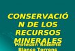 CONSERVACIÓN DE LOS RECURSOS MINERALES Profesor: Roberto Blanco Torrens