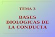 TEMA 3 BASES BIOLÓGICAS DE LA CONDUCTA