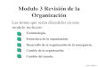 Modulo 3 Revisión de la Organizaci ó n
