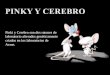 PINKY Y CEREBRO