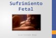 Sufrimiento Fetal