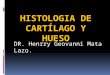 HISTOLOGIA DE CARTÍLAGO Y HUESO