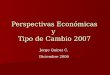 Perspectivas Económicas y  Tipo de Cambio 2007
