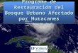 Programa de Restauraci ón del Bosque Urbano Afectado por Huracanes