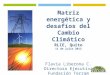 Matriz energética y desafíos del Cambio Climático RLIE, Quito 11 de julio 2013 Flavia Liberona C