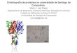 Cristalografía de proteínas na universidade de Santiago de Compostela.  Mark J. van Raaij