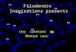 Filodendro Inspirations presents