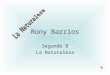 Rony Barrios