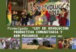 Promulgada   “LEY DE REVOLUCION PRODUCTIVA COMUNITARIA Y AGROPECUARIA” -  26 junio 2011