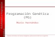 Programación Genética (PG)