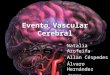 Evento Vascular Cerebral