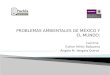 PROBLEMAS AMBIENTALES DE MÉXICO Y EL MUNDO: Coordina:   Esther Mirón Balbuena