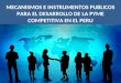 MECANISMOS E INSTRUMENTOS PUBLICOS PARA EL DESARROLLO DE LA PYME COMPETITIVA EN EL PERU