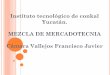 Instituto tecnológico de conkal Yucatán. MEZCLA DE MERCADOTECNIA Cámara Vallejos Francisco Javier
