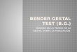 BENDER GESTAL TEST (B.G.)