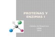 Proteínas y enzimas i