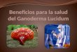 Beneficios para la salud del  Ganoderma Lucidum