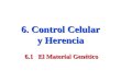 6. Control Celular y Herencia