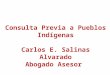 Consulta Previa a Pueblos Indígenas Carlos E. Salinas Alvarado Abogado Asesor