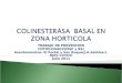 COLINESTERASA  BASAL EN ZONA HORTICOLA