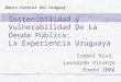 Sostenibilidad y Vulnerabilidad De La Deuda Pública:   La Experiencia Uruguaya