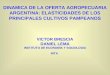 DINAMICA DE LA OFERTA AGROPECUARIA ARGENTINA: ELASTICIDADES DE LOS PRINCIPALES CULTIVOS PAMPEANOS