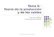 Tema 6:  Teoría de la producción y de los costes