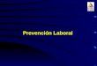 Prevención Laboral