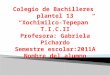 Colegio de Bachilleres  plantel  13 “ Xochimilco- Tepepan ” T.I.C.II Profesora : Gabriela Pichardo