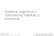sistema cognitivo I: conciencia, hábitos y memoria