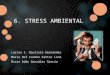 6. STRESS AMBIENTAL