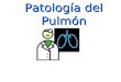 Patología del Pulmón