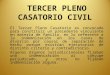 TERCER PLENO CASATORIO CIVIL
