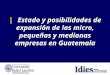 | Estado y posibilidades de expansión de las micro, pequeñas y medianas empresas en Guatemala