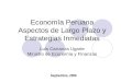 Economía Peruana Aspectos de Largo Plazo y Estrategias Inmediatas