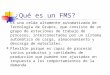 ¿Qué es un FMS?