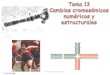 Tema  13  Cambios cromosómicos numéricos y estructurales