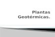 Plantas Geotérmicas