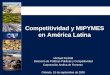 Michael Penfold Dirección de Políticas Públicas y Competitividad Corporación Andina de Fomento